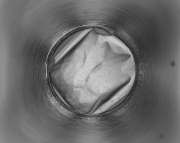 X0000116040892200912111437