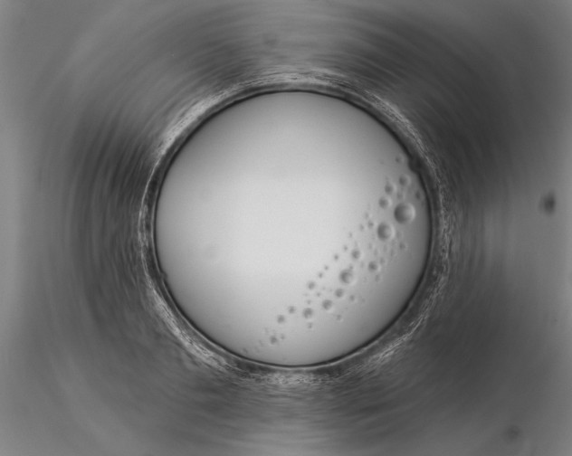 X0000116040893200912111437