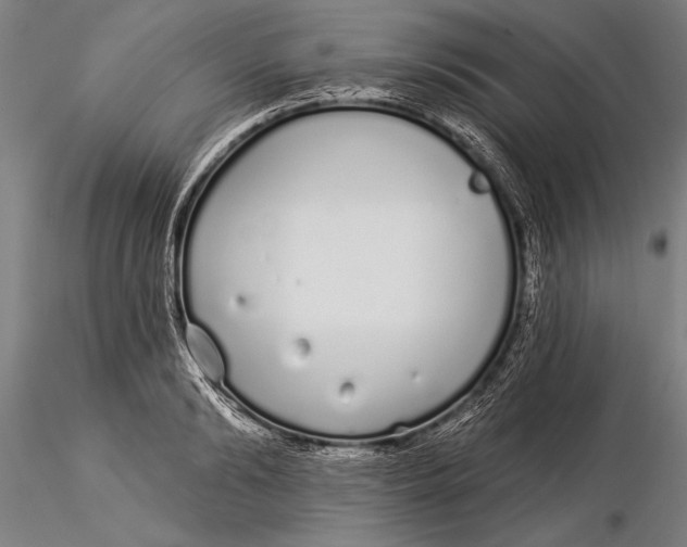 X0000116040894200912111437