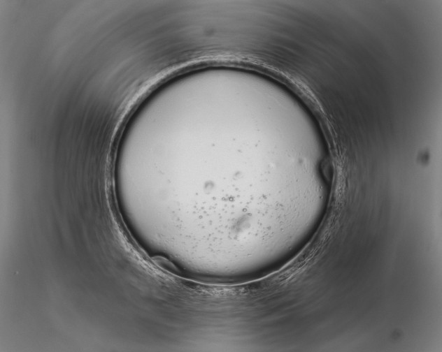 X0000116040895200912111437