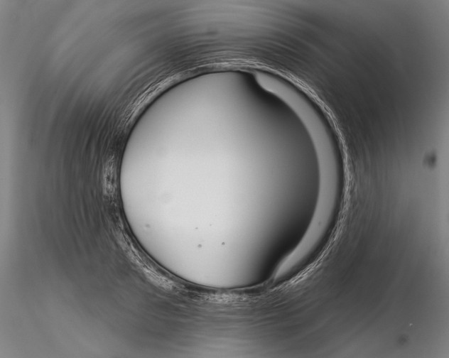 X0000116040897200912111436