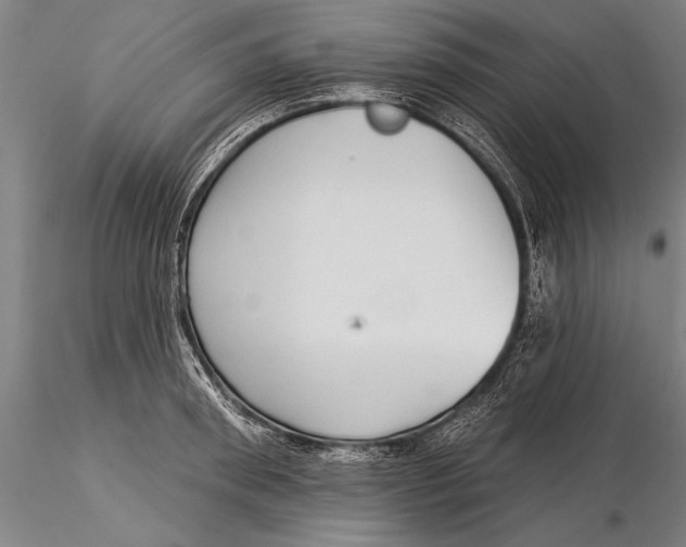 X0000116040898200912111436