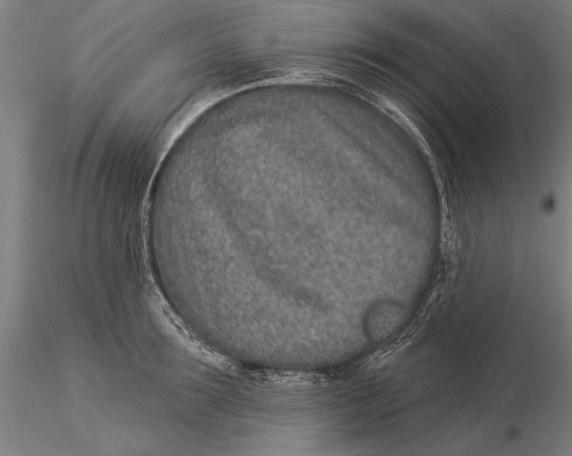 X0000116040899200912111436