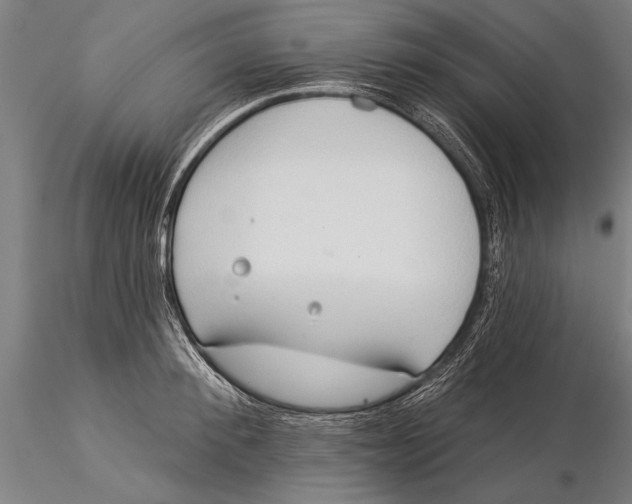 X0000116040900200912111436