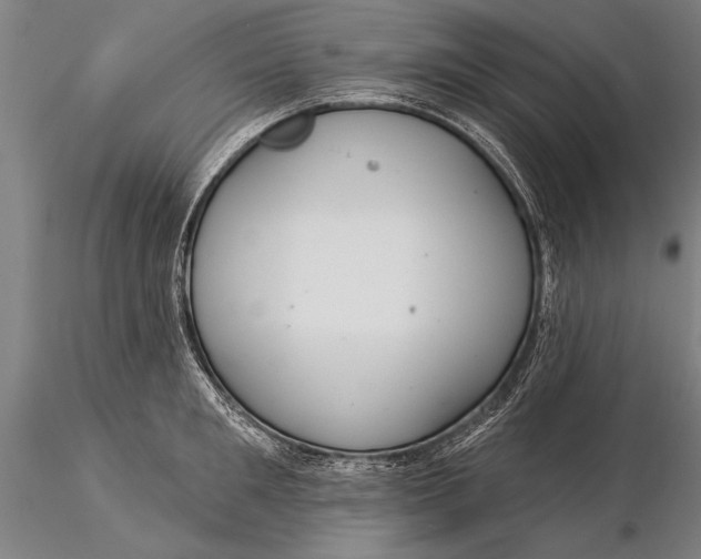 X0000116040901200912111436