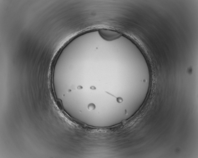 X0000116040902200912111436