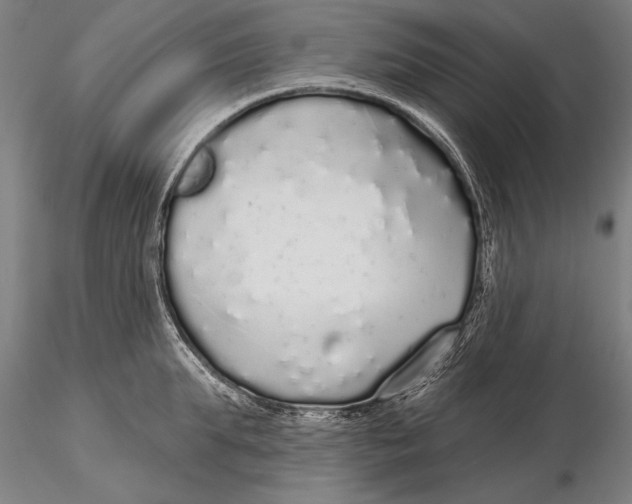 X0000116040903200912111436