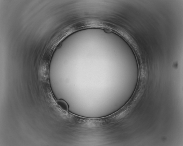 X0000116040905200912111436