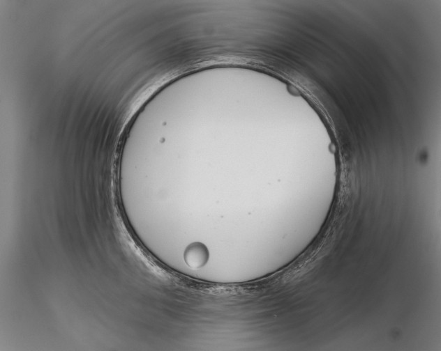 X0000116040906200912111436