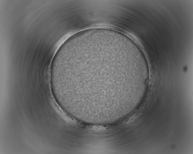 X0000116040907200912111436