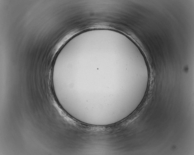 X0000116040909200912111436