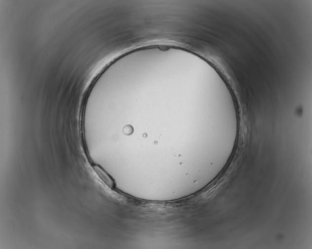 X0000116040910200912111436