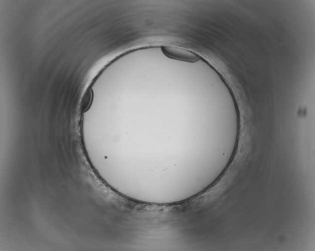 X0000116040912200912111436