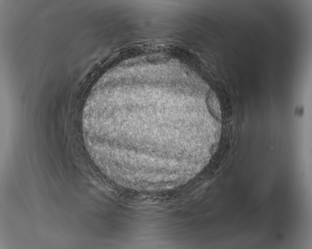 X0000116040913200912111436