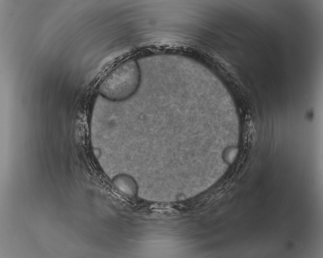 X0000116040918200912111436