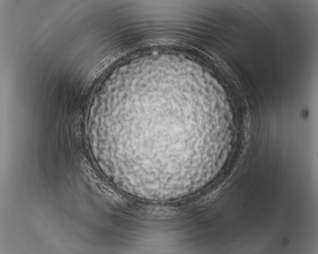 X0000116040921200912111436