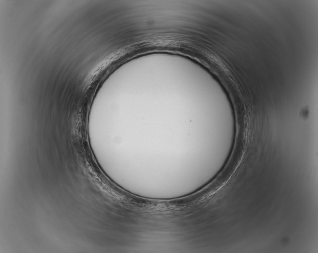 X0000116040922200912111436