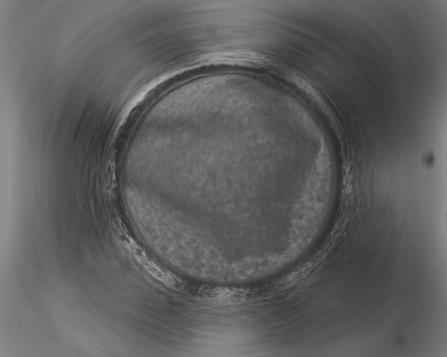 X0000116040923200912111436