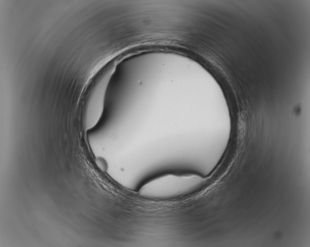 X0000116040925200912111436