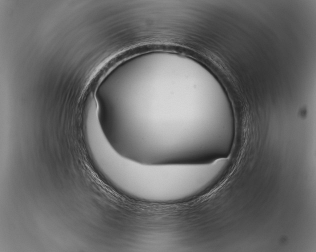 X0000116040926200912111436