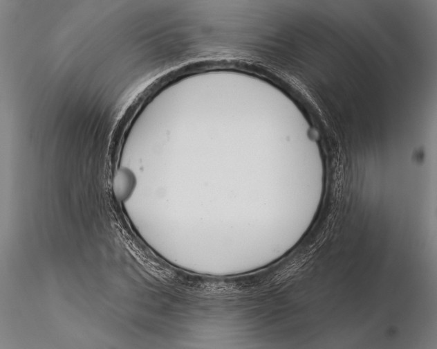 X0000116040927200912111436