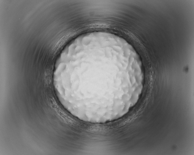 X0000116040929200912111436