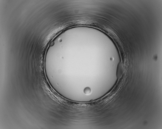 X0000116040930200912111436