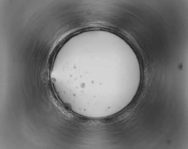 X0000116040931200912111436