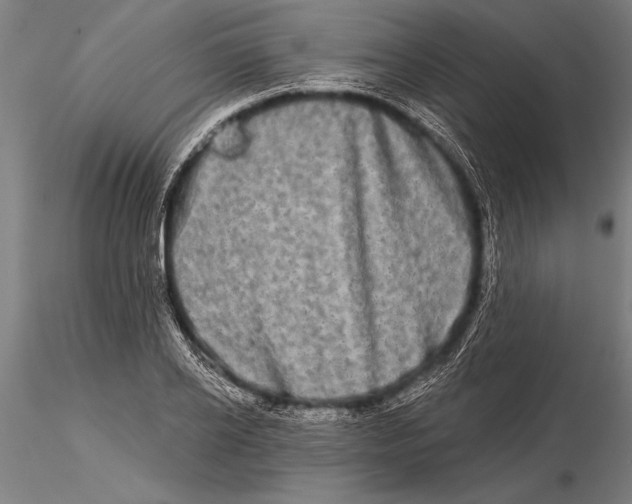 X0000116040934200912111436