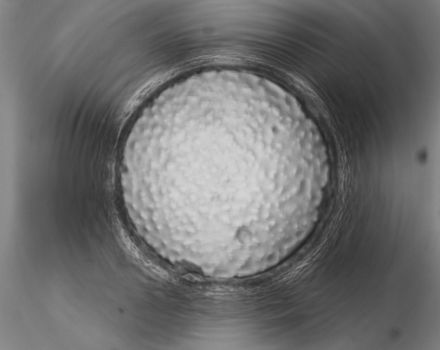 X0000116040938200912111436