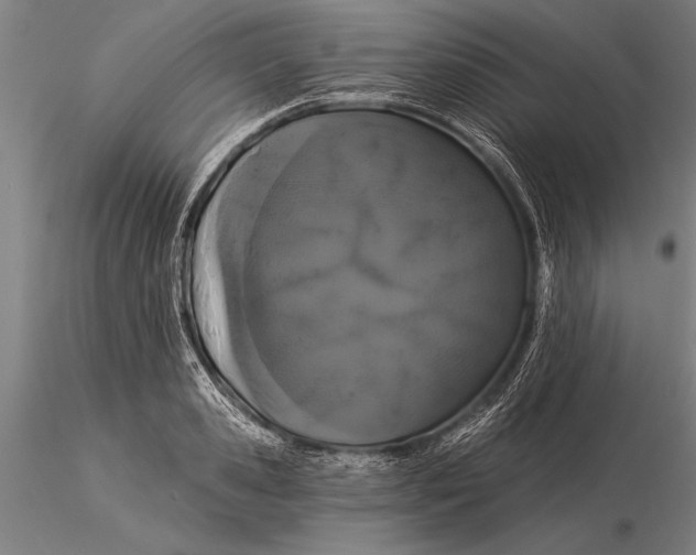 X0000116040941200912111436