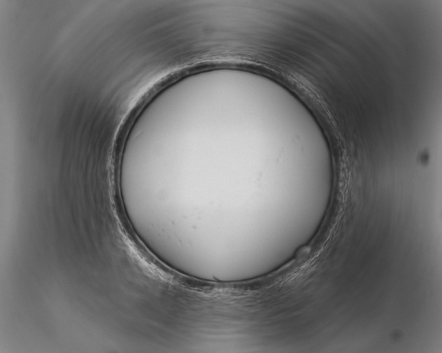 X0000116040942200912111436