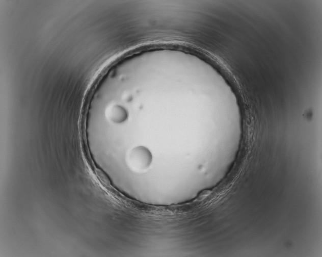 X0000116040943200912111436