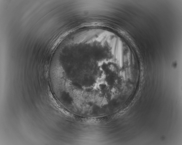 X0000116040945200912111436