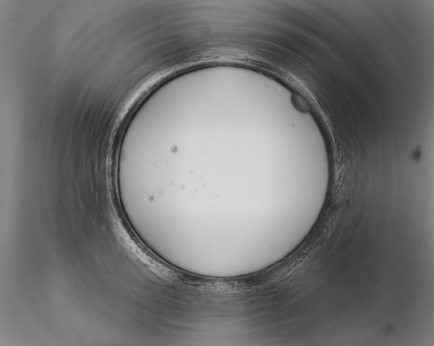 X0000116040947200912111436