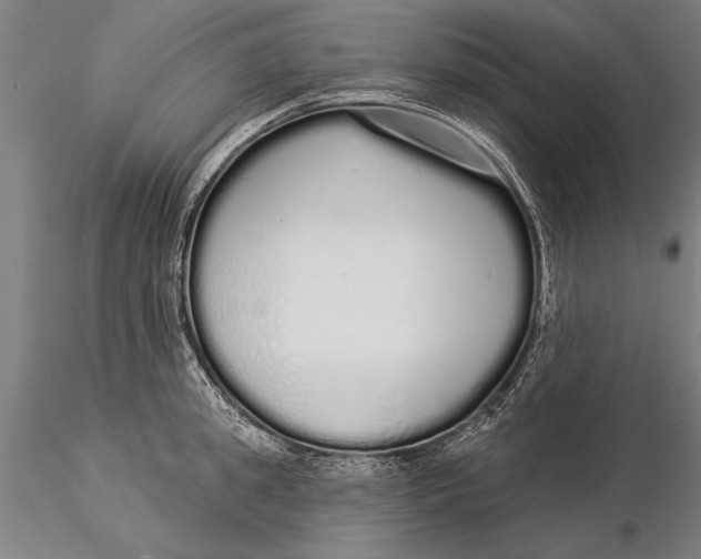 X0000116040949200912111436