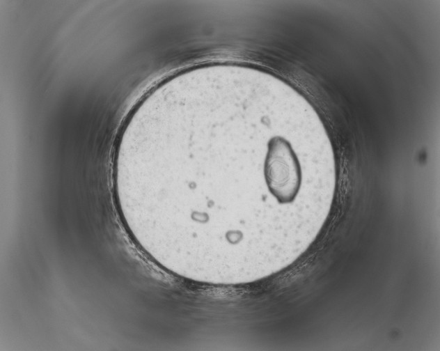 X0000116040950200912111436