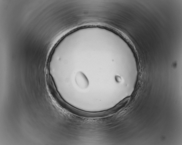 X0000116040951200912111436