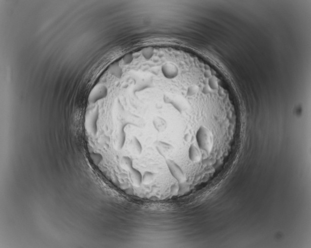 X0000116040953200912111436