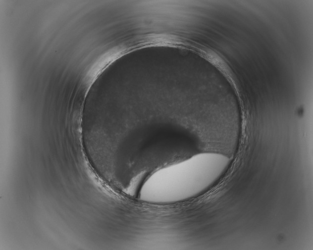 X0000116040954200912111436