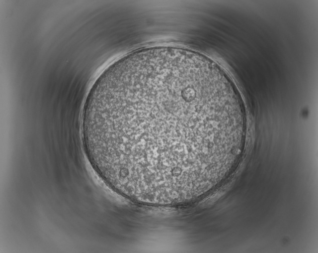 X0000116040957200912111436