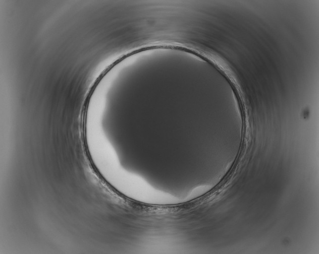 X0000116040958200912111436