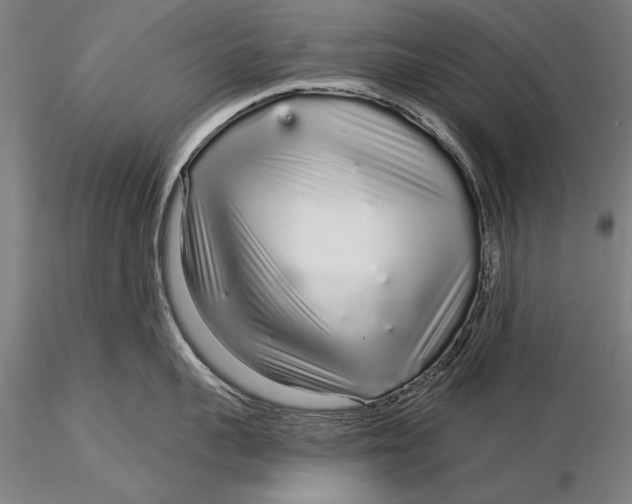 X0000116040959200912111436