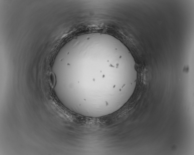 X0000116040961200912111436