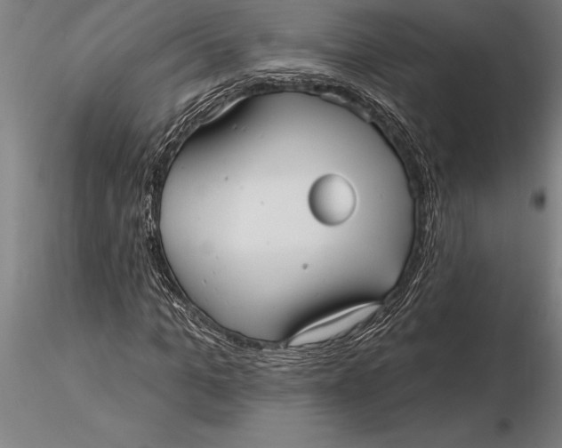 X0000116040965200912111436