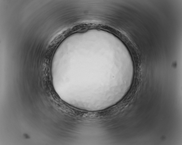 X0000116040967200912111436