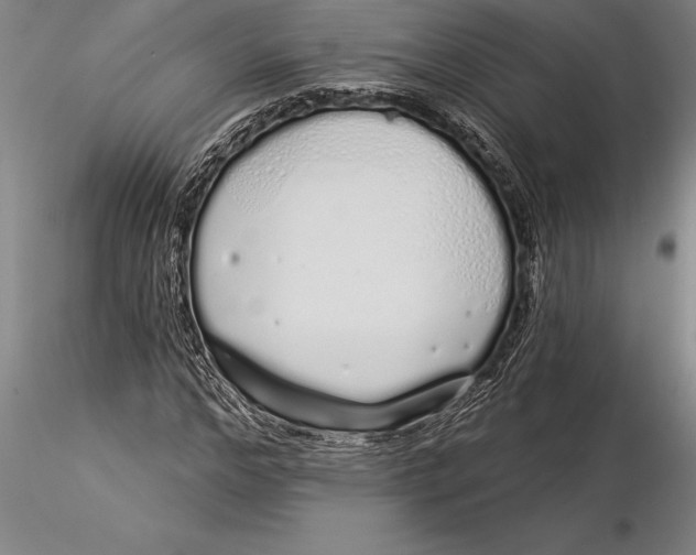 X0000116040968200912111436