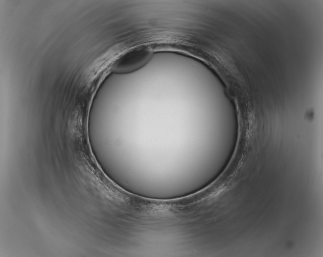 X0000116040969200912111435