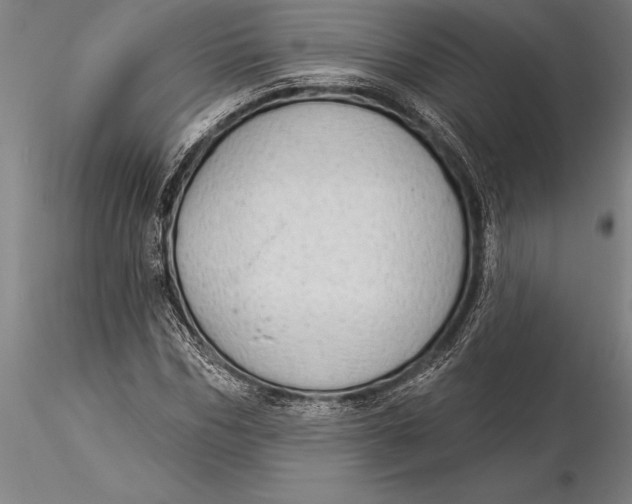 X0000116040970200912111435