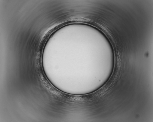 X0000116040971200912111435